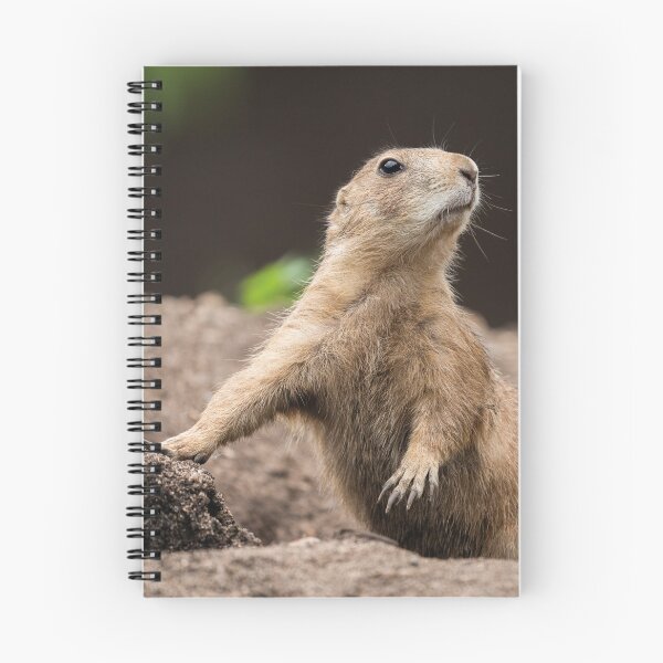 Item preview, Black Tailed Prairie Dog designed and sold by rawshutterbug.