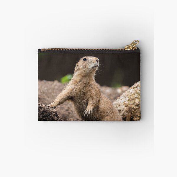 Item preview, Black Tailed Prairie Dog designed and sold by rawshutterbug.