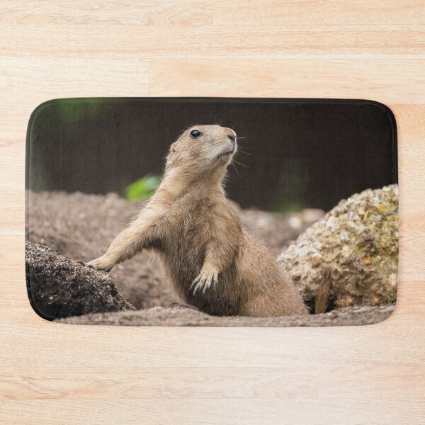 Item preview, Black Tailed Prairie Dog designed and sold by rawshutterbug.