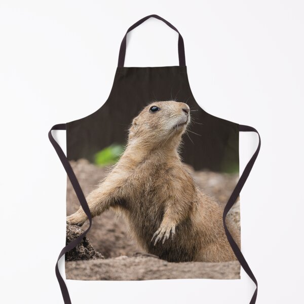 Item preview, Black Tailed Prairie Dog designed and sold by rawshutterbug.