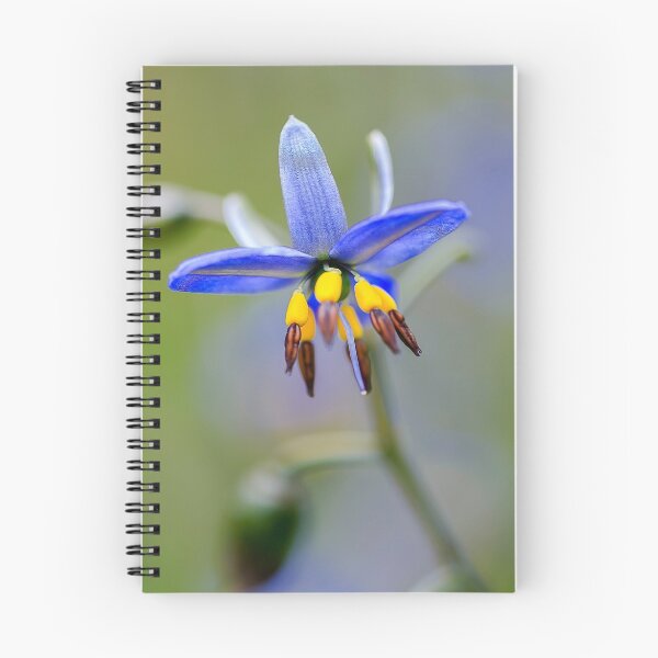 Item preview, Flax Lily designed and sold by Jessy Willemse.