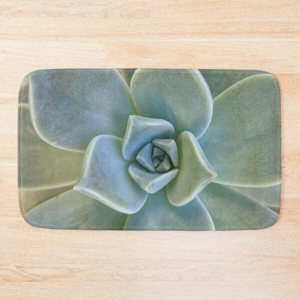 Item preview, Close up photograph of a pretty succulent. designed and sold by LaBellCreative.