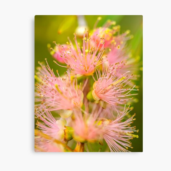 Item preview, Pretty in Pink designed and sold by Jessy Willemse.