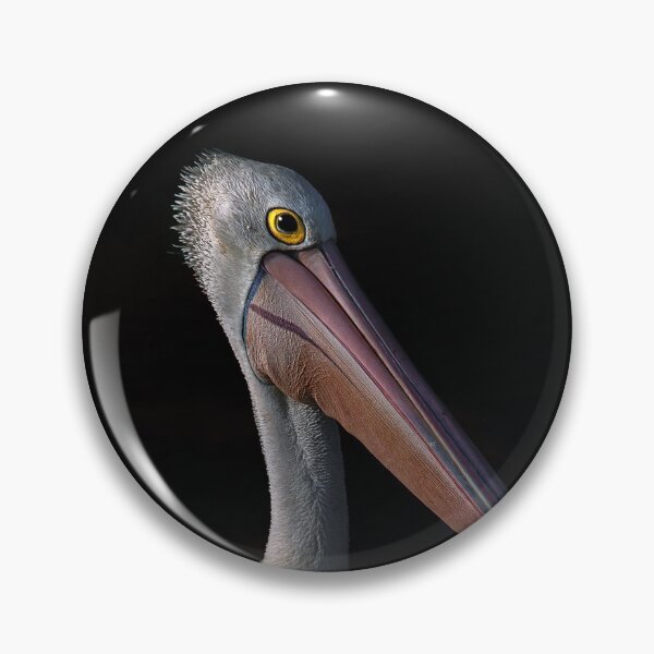 Item preview, Pelican portrait designed and sold by carol brandt.