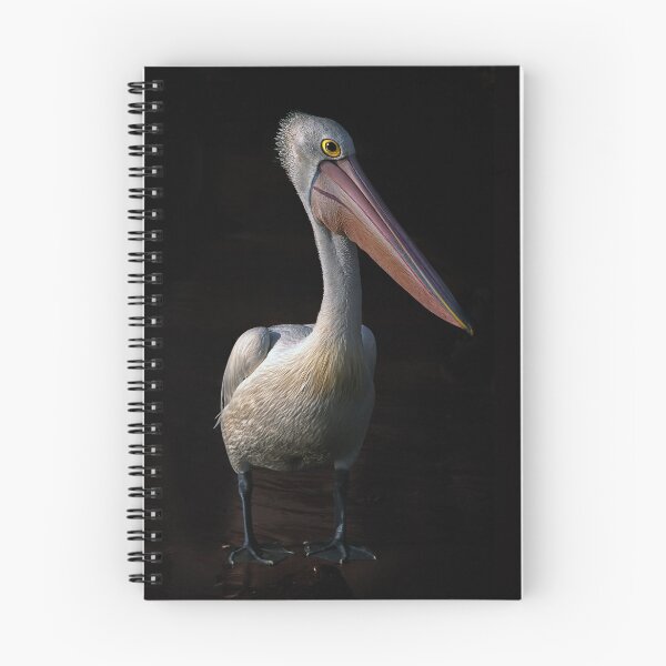 Item preview, Pelican portrait designed and sold by carol brandt.