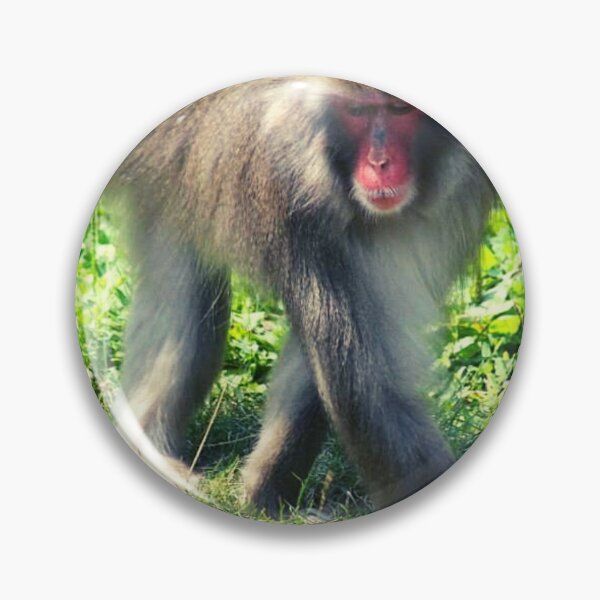 Item preview, Macaco Rhesus Mono del Viejo Mundo designed and sold by TorieWear.