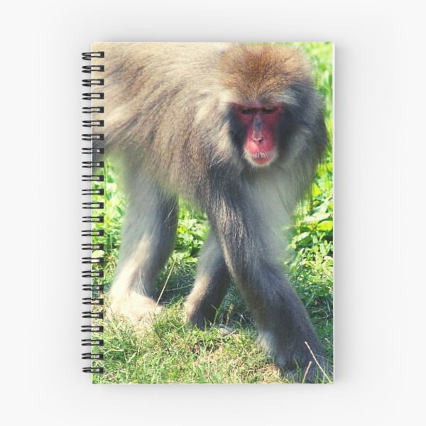 Item preview, Rhesus Macaque Old World monkey designed and sold by TorieWear.