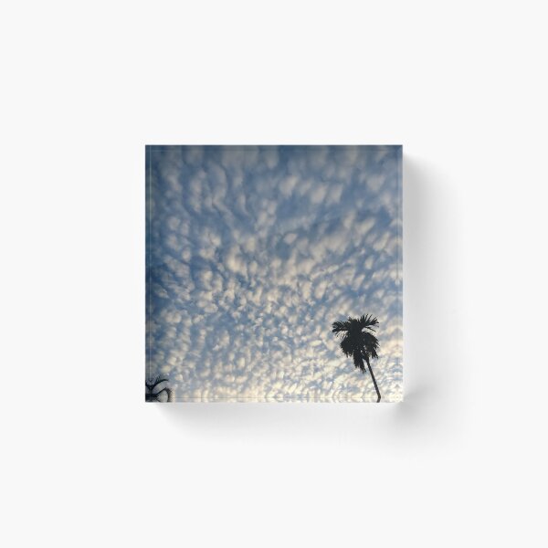 Item preview, Palm trees  designed and sold by derryshop.