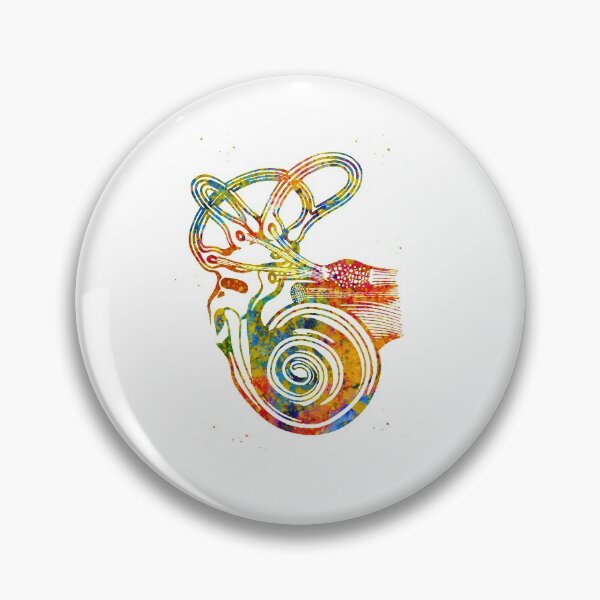 Item preview, Ear anatomy designed and sold by Liededrom..