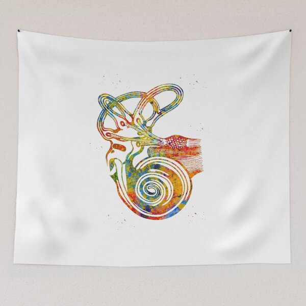 Item preview, Ear anatomy designed and sold by Liededrom..