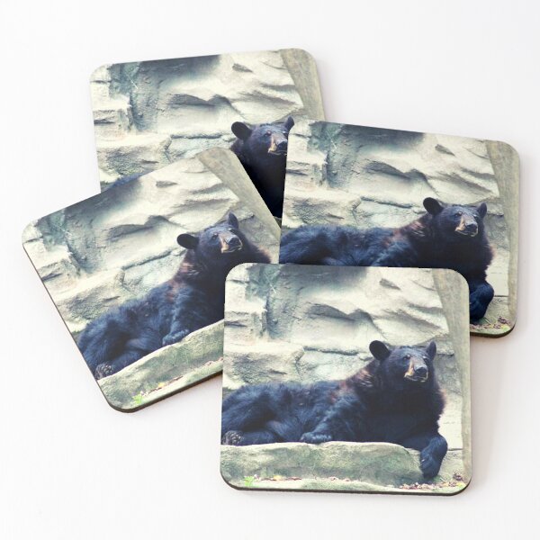 Item preview, Ursus americanus designed and sold by TorieWear.