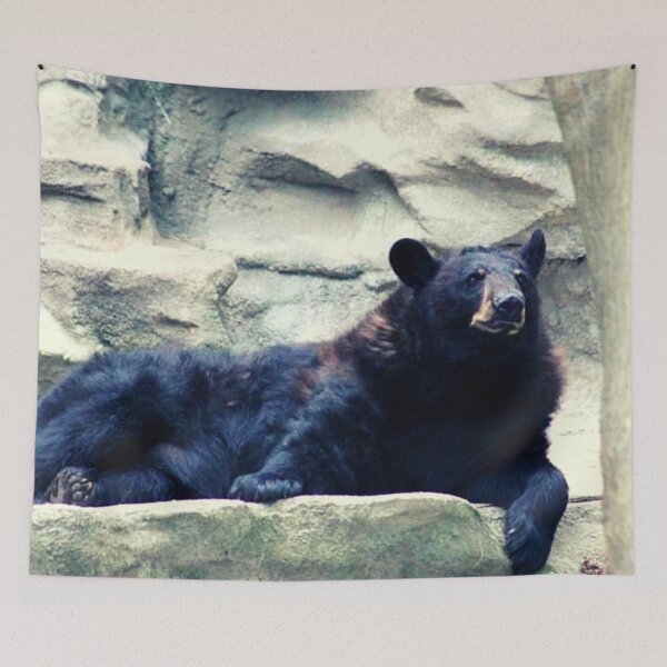 Item preview, Ursus americanus designed and sold by TorieWear.