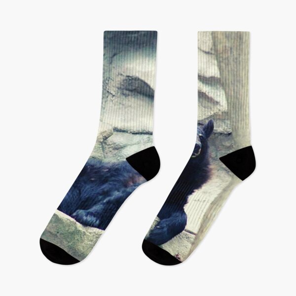 Item preview, Ursus americanus designed and sold by TorieWear.