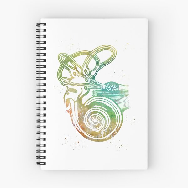 Item preview, Ear anatomy designed and sold by Liededrom..