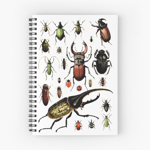 Item preview, Beetles designed and sold by TheHogoCo.