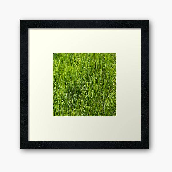 Item preview, Grass Texture designed and sold by tiki1993.