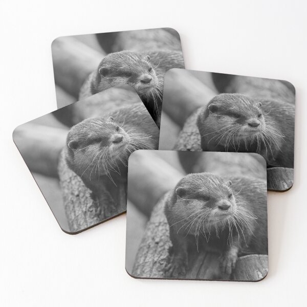 Item preview, Otter Whiskers designed and sold by rawshutterbug.