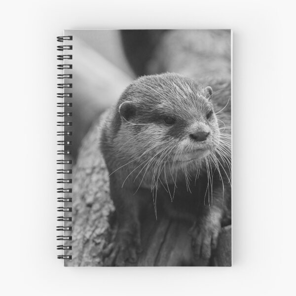 Item preview, Nutria Bigotes designed and sold by rawshutterbug.