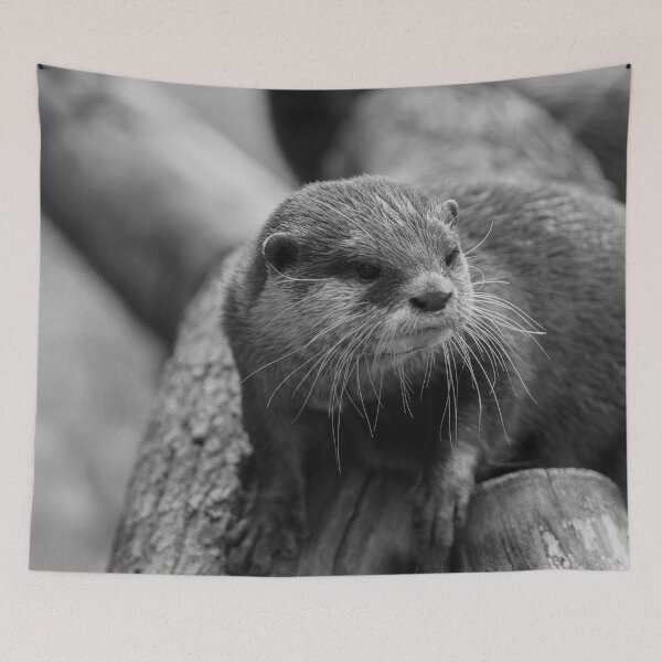 Item preview, Otter Whiskers designed and sold by rawshutterbug.