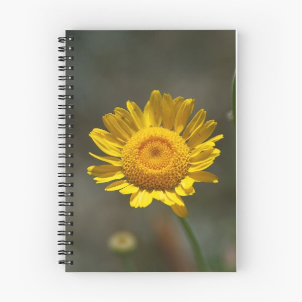 Item preview, Dyer's chamomile designed and sold by Treemonk.