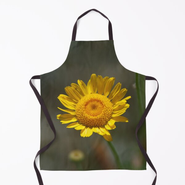 Item preview, Dyer's chamomile designed and sold by Treemonk.