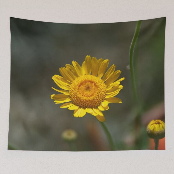 Item preview, Dyer's chamomile designed and sold by Treemonk.