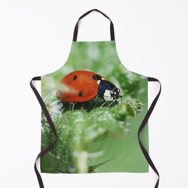 Item preview, the Star :(6) coccinelle-ladybug by Olao-Olavia / Okaio Créations 2015 by fz 1000 400.000 photos framings different picture on request on each support designed and sold by o.okaïo.