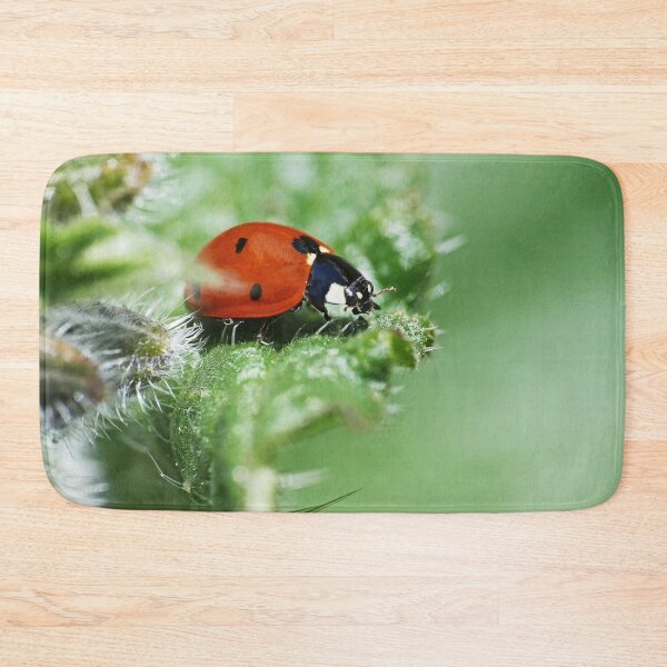 Item preview, the Star :(6) coccinelle-ladybug by Olao-Olavia / Okaio Créations 2015 by fz 1000  400.000 photos  framings different picture on request on each support designed and sold by o.okaïo.