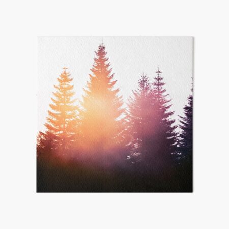 Morning Glory Art Board Print