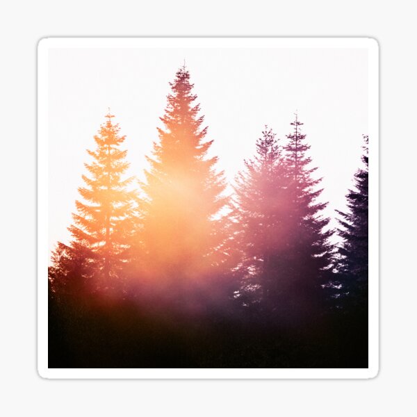 Item preview, Morning Glory // Romantasy Summer Sunset Forest With Cascadia Trees Covered In Magic Warm Sun Light designed and sold by Tordis Kayma.