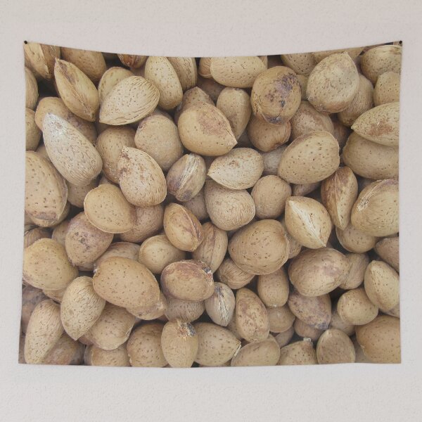 Item preview, Almonds Fall Autumn Patterns  designed and sold by idovedesign.