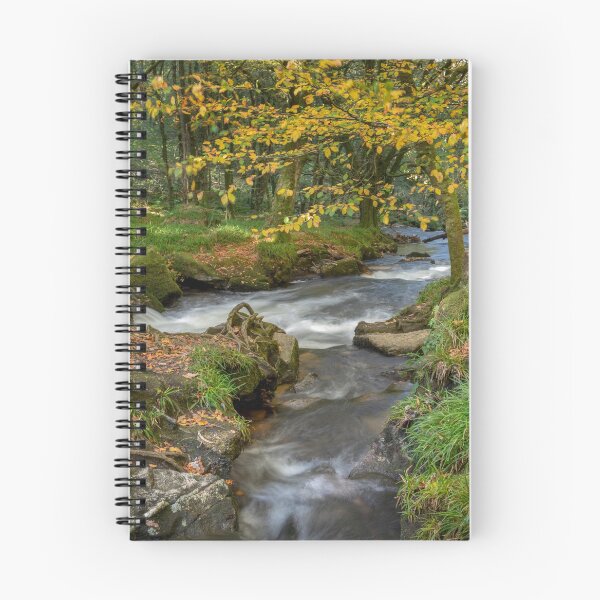 Item preview, Draynes wood golitha falls Cornwall   designed and sold by eddiej.