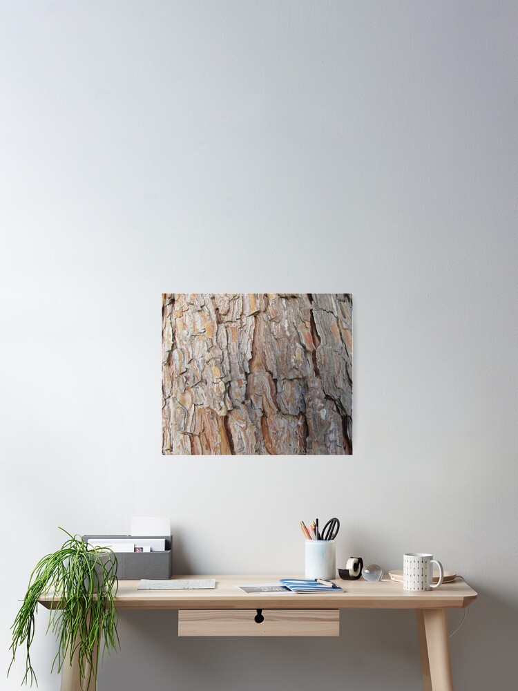 Thumbnail 2 of 3, Poster, Tree Bark Fall Autumn Patterns  designed and sold by idovedesign.