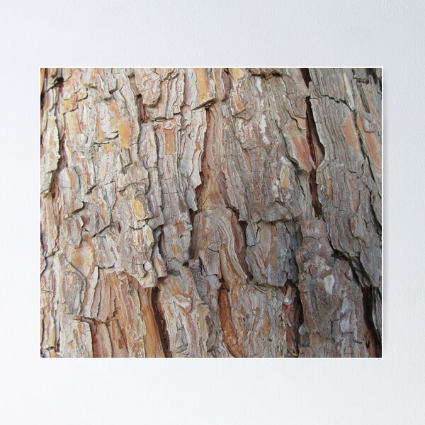 Item preview, Tree Bark Fall Autumn Patterns  designed and sold by idovedesign.