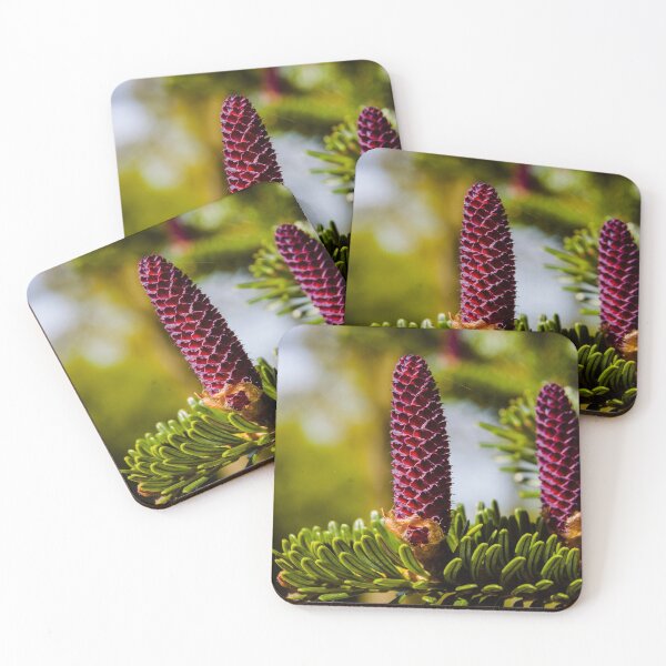 Item preview, Close up photograph of a branch with two Pine Cones designed and sold by MichaelBShannon.