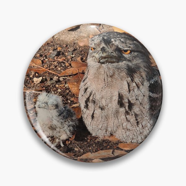 Item preview, Tawny Frogmouth designed and sold by mhall.