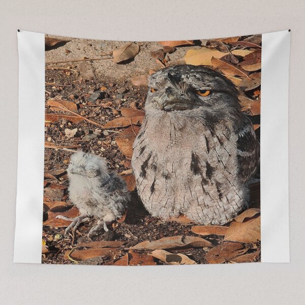 Item preview, Tawny Frogmouth designed and sold by mhall.