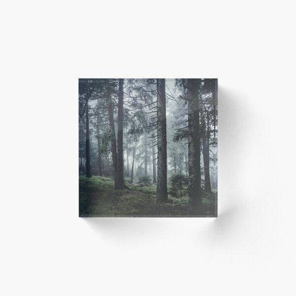 Path Vibes Acrylic Block