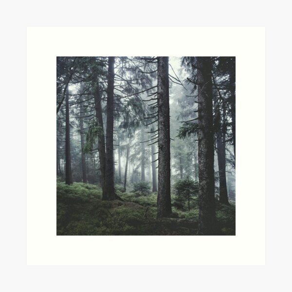 Path Vibes Art Print