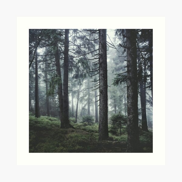 Path Vibes Art Print