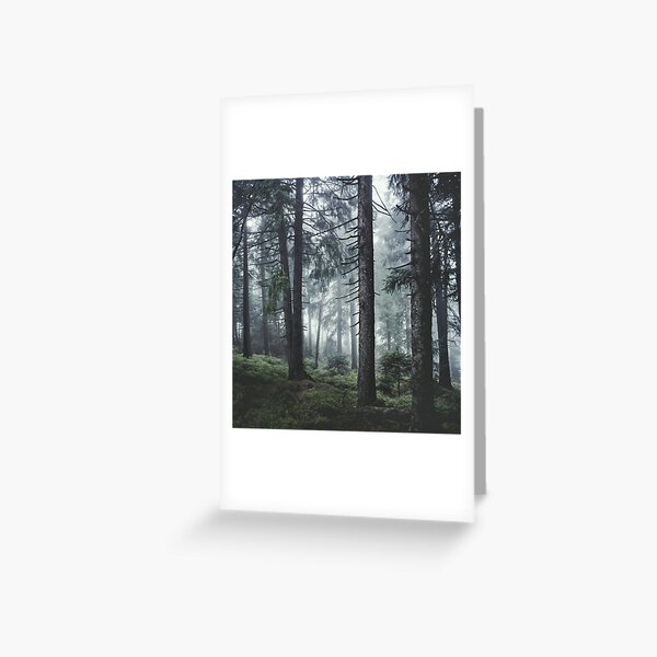 Item preview, Path Vibes // Wild Romantic Misty Retro Fall Wilderness Fairytale Forest With Cascadia Trees Covered In Magic Blue Fog Season designed and sold by Tordis Kayma.