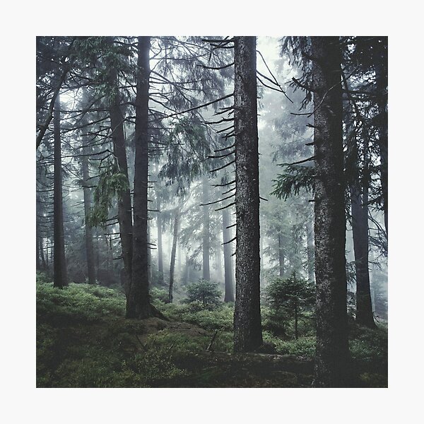 Path Vibes Photographic Print
