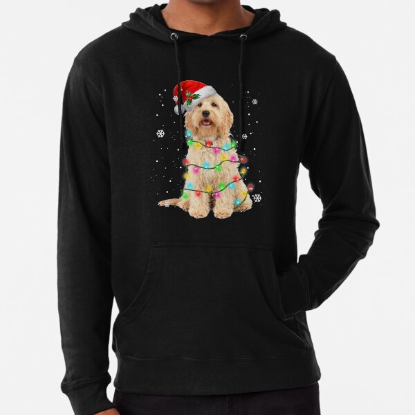 goldendoodle sweater