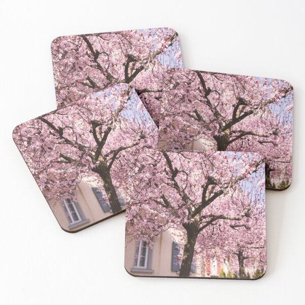 Item preview, Pink plum blossoms street designed and sold by seunglee.