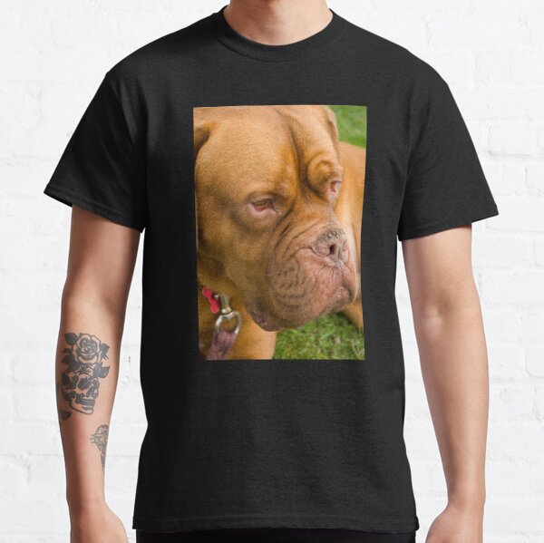 dogue de bordeaux t shirt