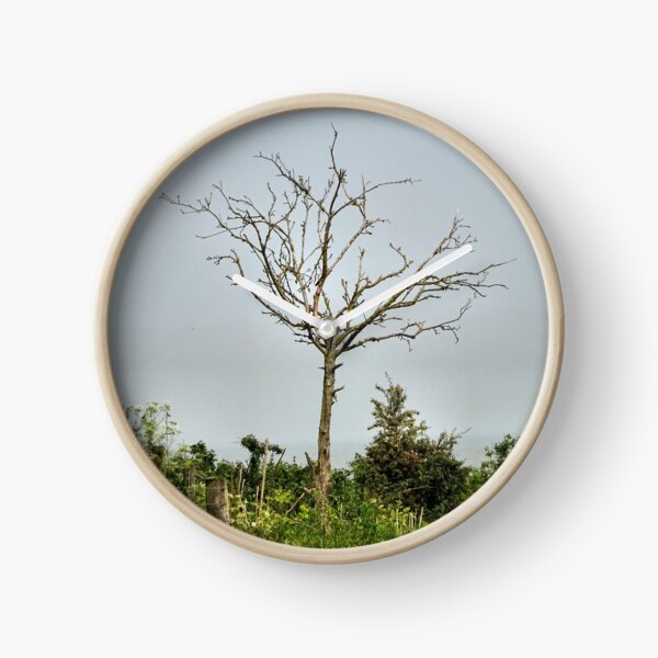 Item preview, Spindly designed and sold by chihuahuashower.