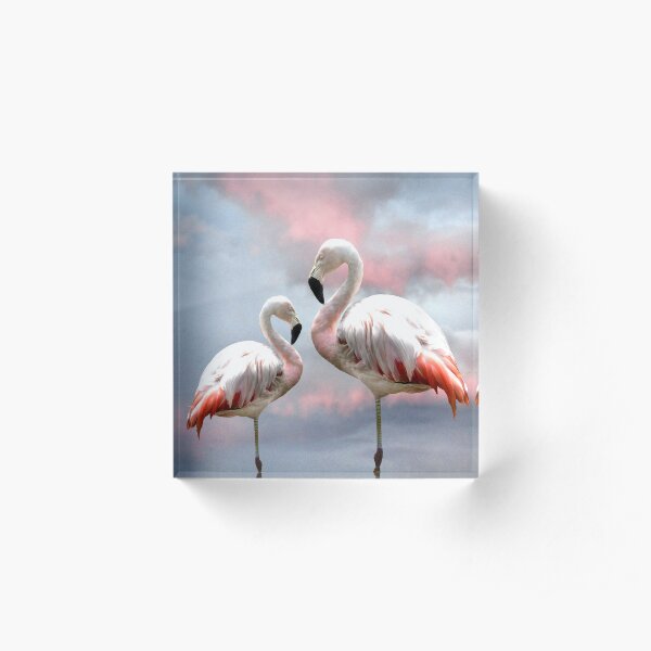 Flamingo Sky sunset birds Acrylic Block