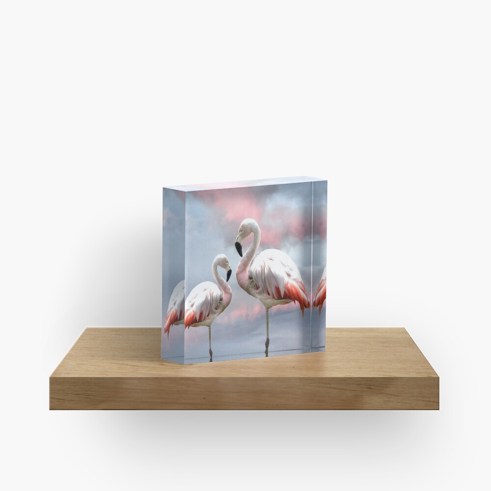 Flamingo Sky sunset birds Acrylic Block