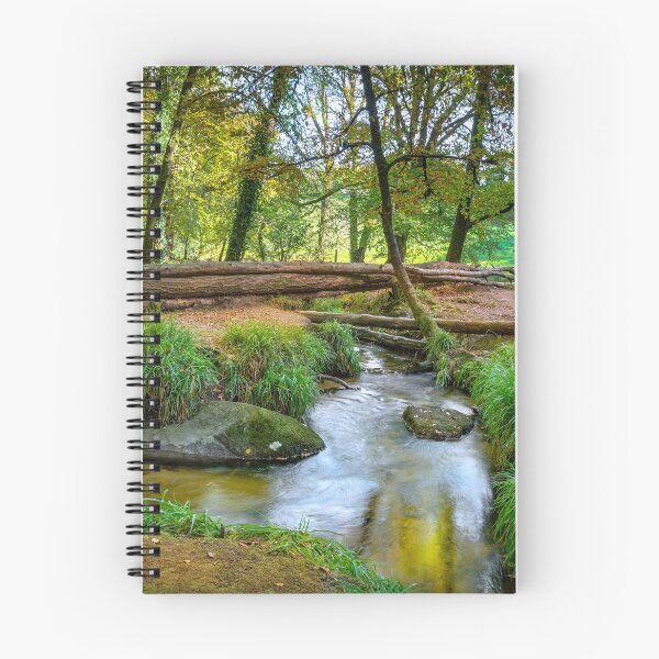 Item preview, Draynes wood Bodmin moor Cornwall  designed and sold by eddiej.