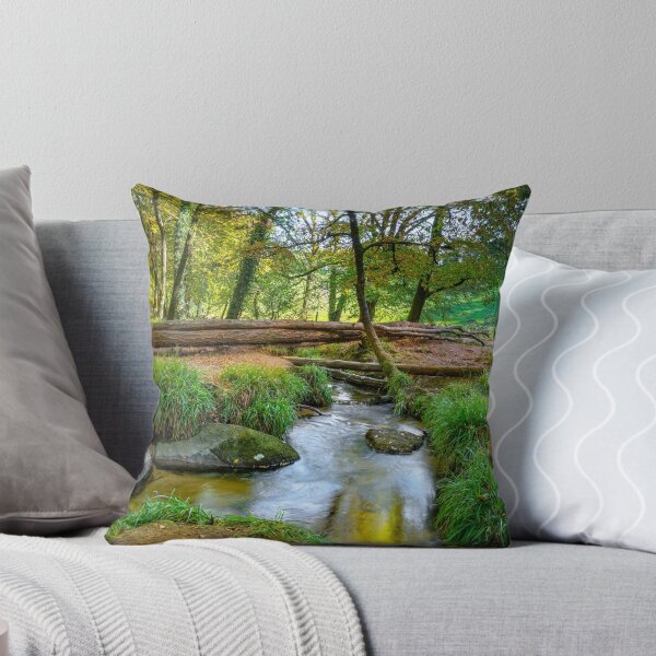 Item preview, Draynes wood Bodmin moor Cornwall  designed and sold by eddiej.